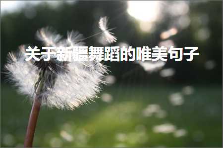 鍏充簬鏂扮枂鑸炶箞鐨勫敮缇庡彞瀛愶紙鏂囨439鏉★級